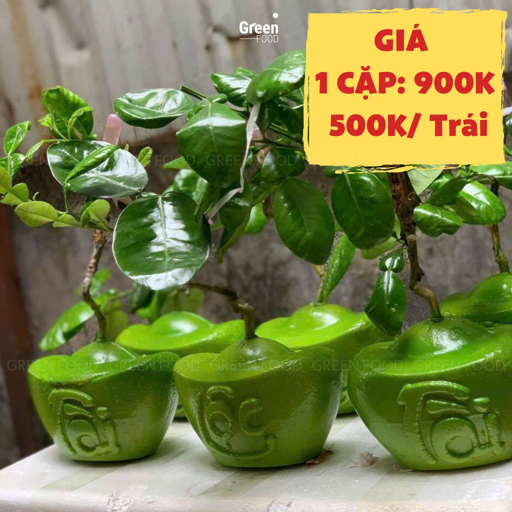 Bưởi Da Xanh Thỏi Vàng Chất Lượng Tại Sài Gòn - Liên Hệ GREEN FOOD