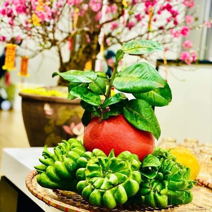 Phật Thủ Chưng Tết (Lẻ/ Trái)