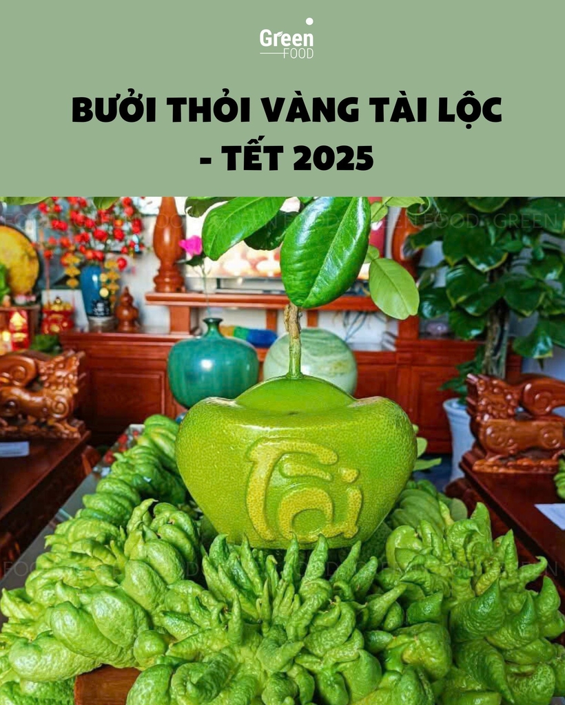 Bưởi Da Xanh Thỏi Vàng Chất Lượng Tại Sài Gòn - Liên Hệ GREEN FOOD