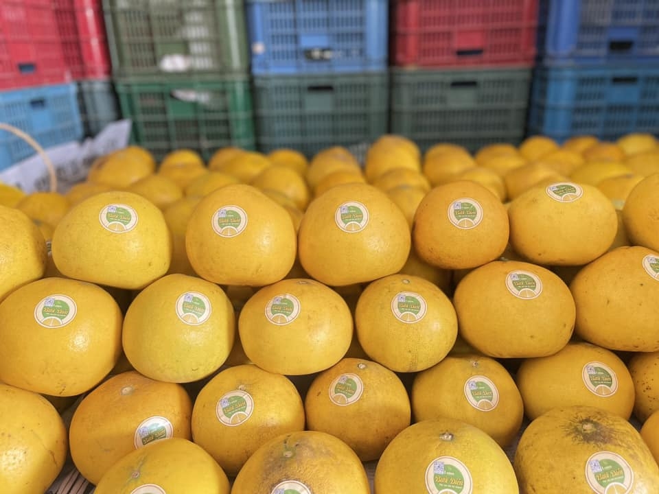 Bưởi Diễn Hà Nội (Trái 800g -1kg)