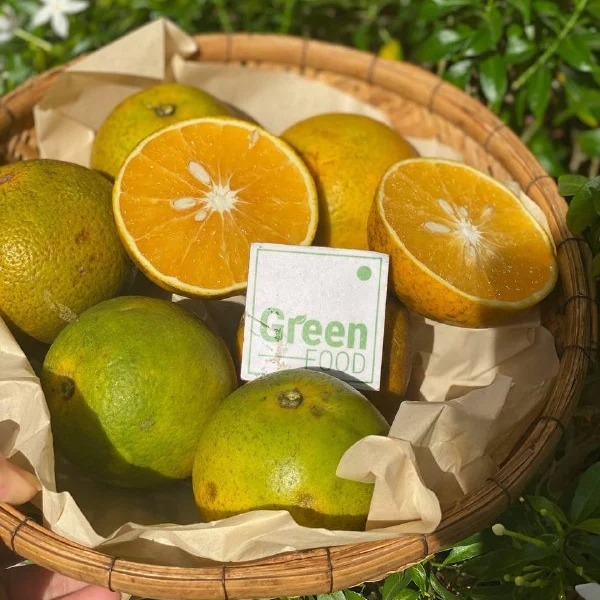 Cam Xoàn Lão Chín Rám (PTCT: Hữu Cơ)