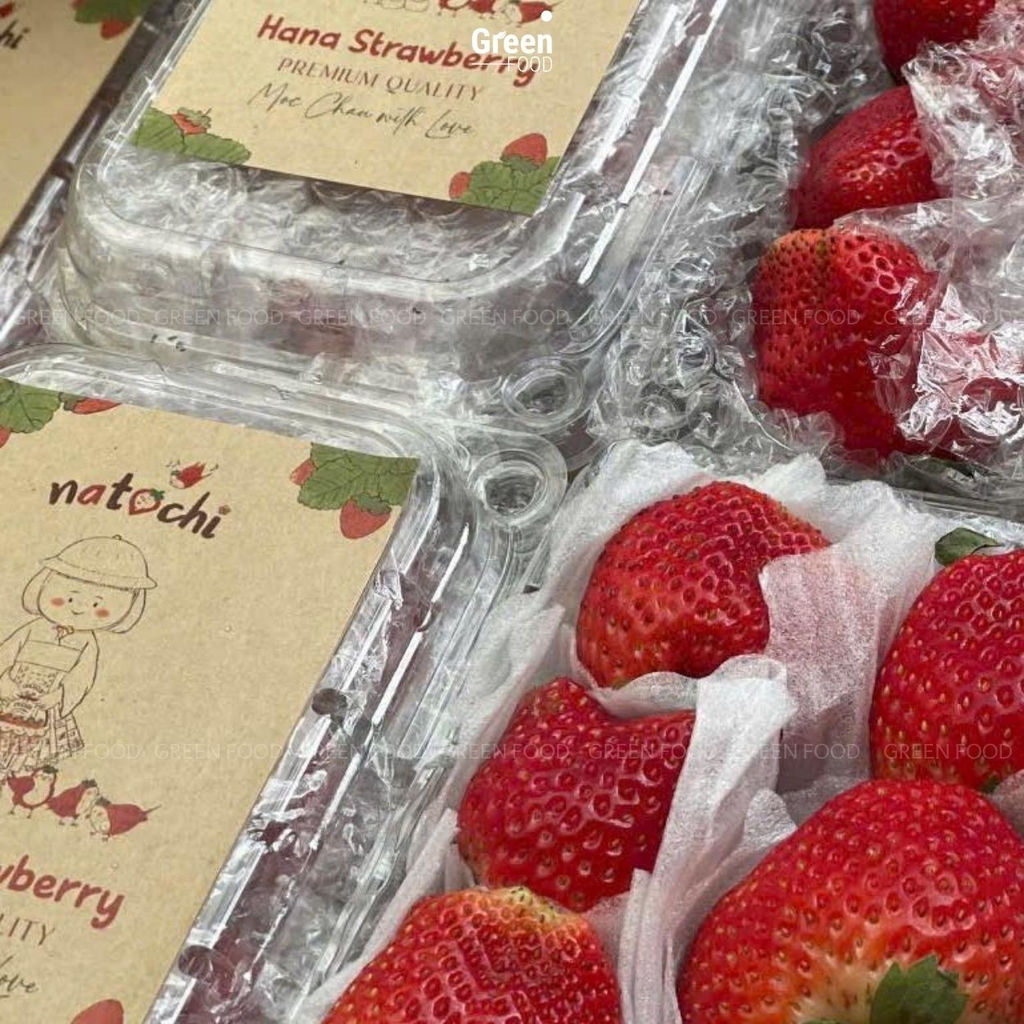 Dâu Tây Mộc Châu - Hana Natochi