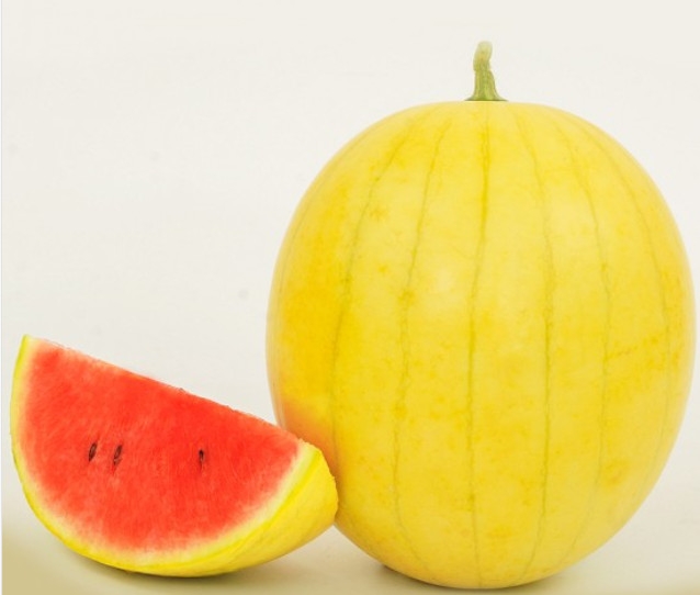 Dưa Hấu Hồng Cúc (Vỏ Vàng Ruột Đỏ) (PTCT: An Toàn) (Lẻ/Kg)