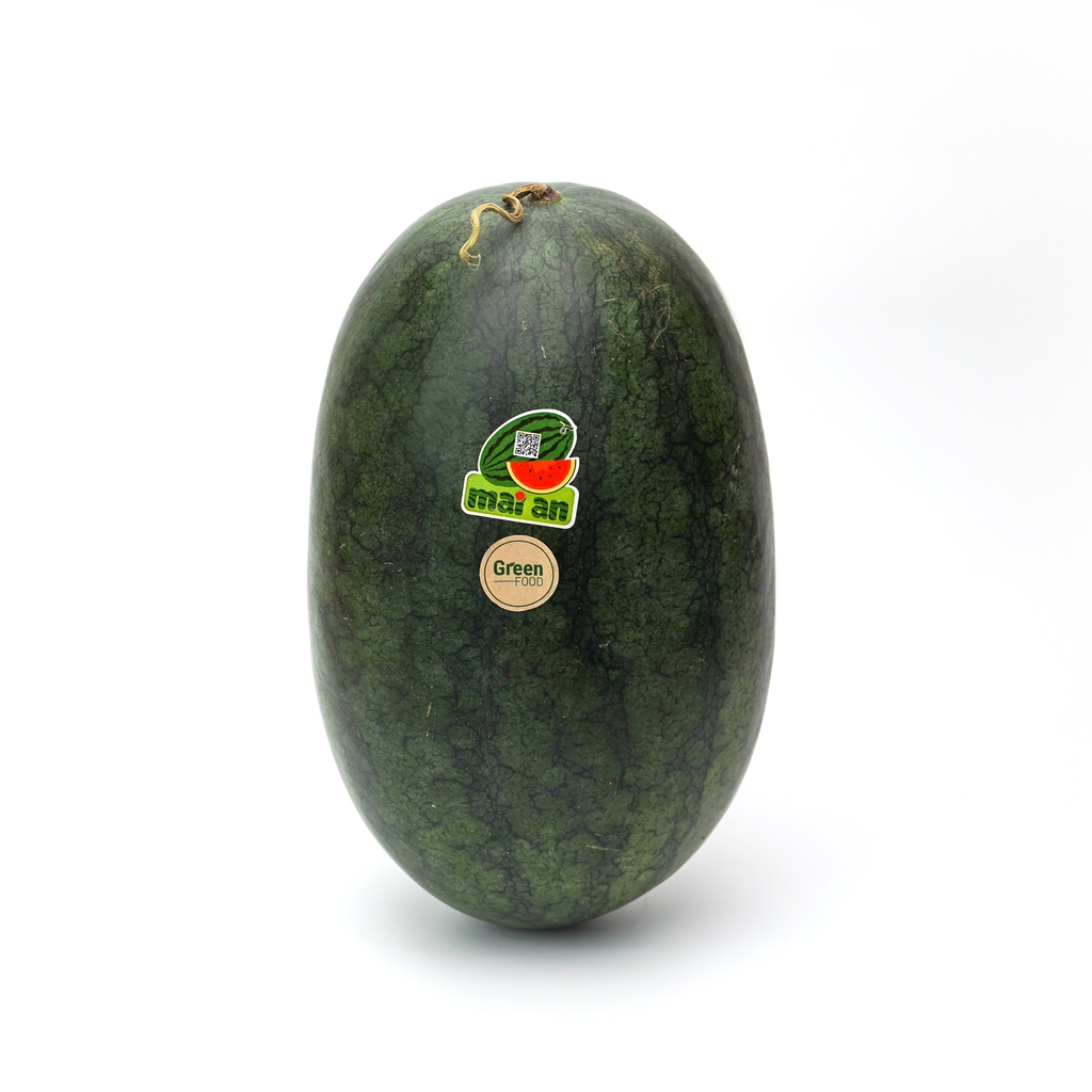 Dưa Hấu Dài Đỏ Có Hạt - PTCT An Toàn