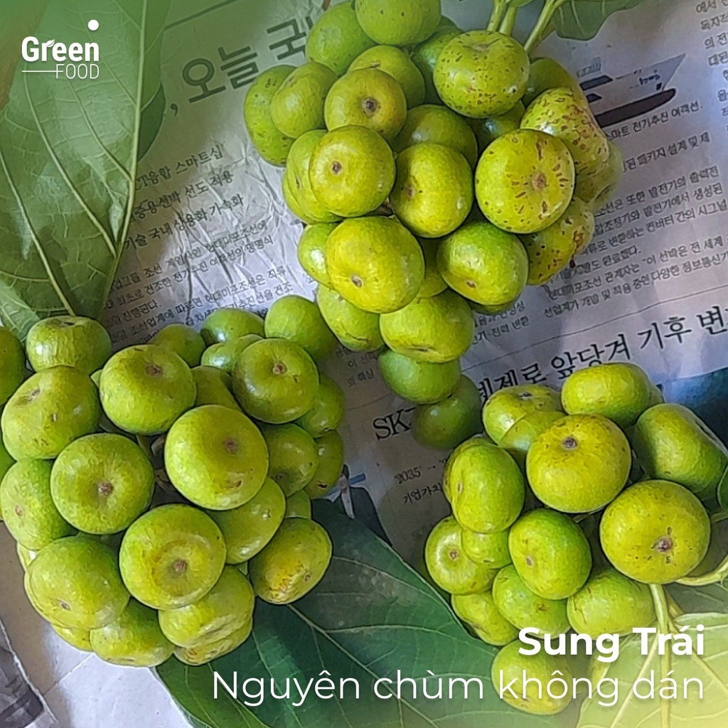 Sung Thái Chưng Tết