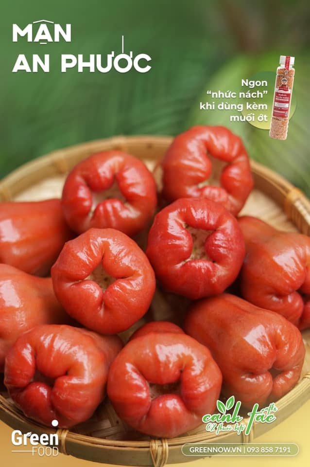 Mận An Phước Đỏ size VIP (Từ 7-9 trái / kg) - PTCT An Toàn