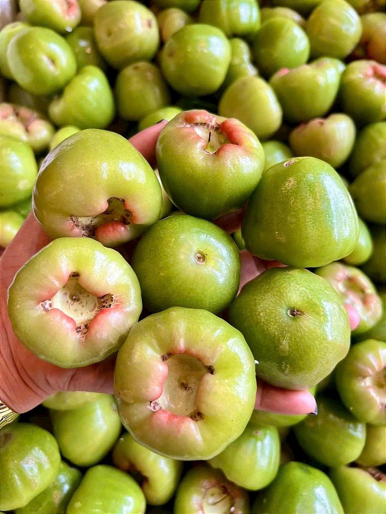 Mận Xanh Đường Sóc Trăng (An Toàn)