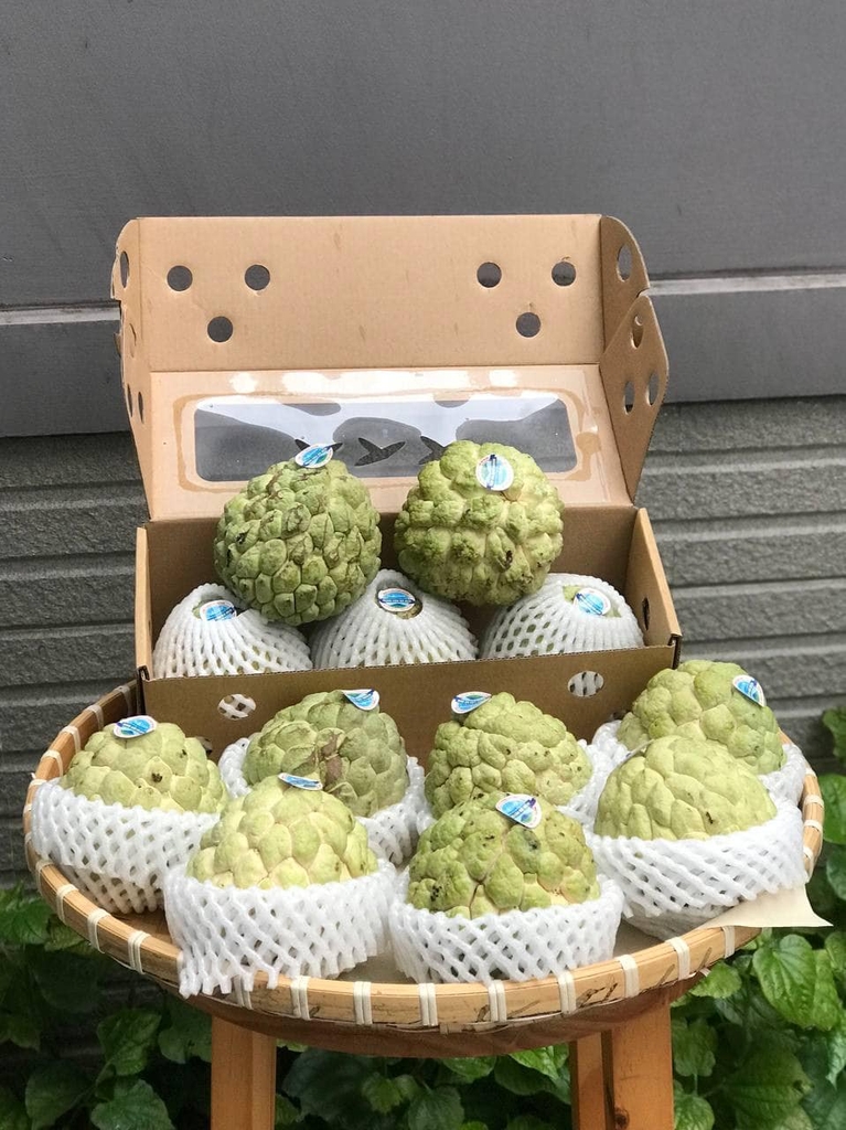 Mãng Cầu Dai Tây Ninh  Natani (Hộp 3 trái)