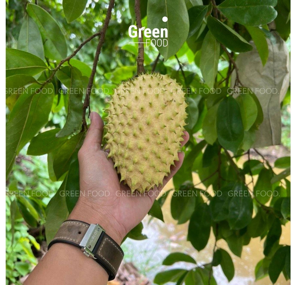 Mãng Cầu Gai Da Vàng