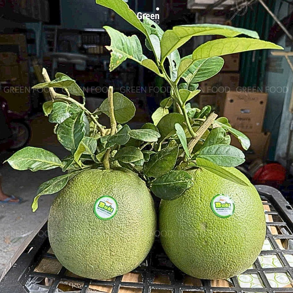 Bưởi Da Xanh 5 Hạng – Sự Lựa Chọn Hoàn Hảo Cho Tết 2025