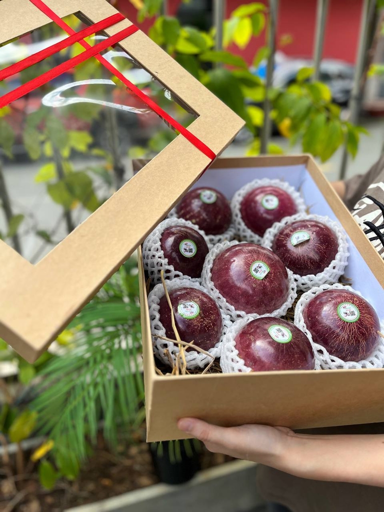 Hộp Quà Sức Khỏe Vú Sữa Tím SK010222 ( Giá 600.000đ - 800.000đ)