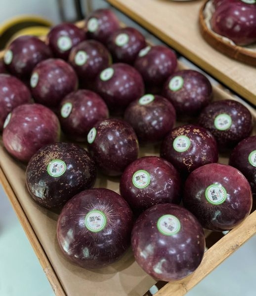 Vú Sữa Tím Bách Thảo Tiền Giang - PTCT HCVS/VietGap