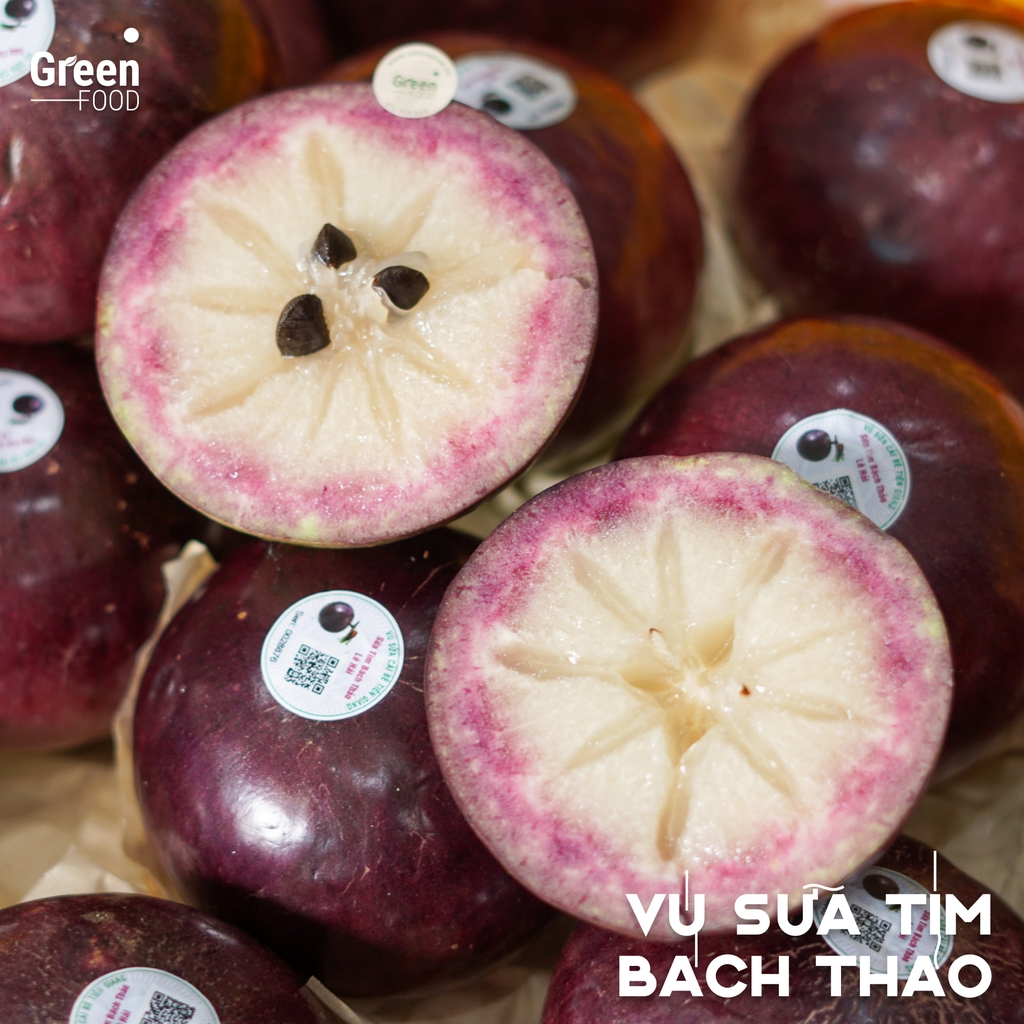 Vú Sữa Tím Bách Thảo Tiền Giang - PTCT HCVS/VietGap