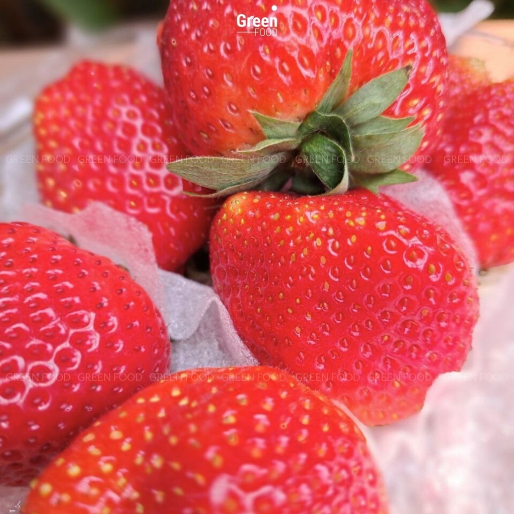 Dâu Tây Mộc Châu - Hana Natochi