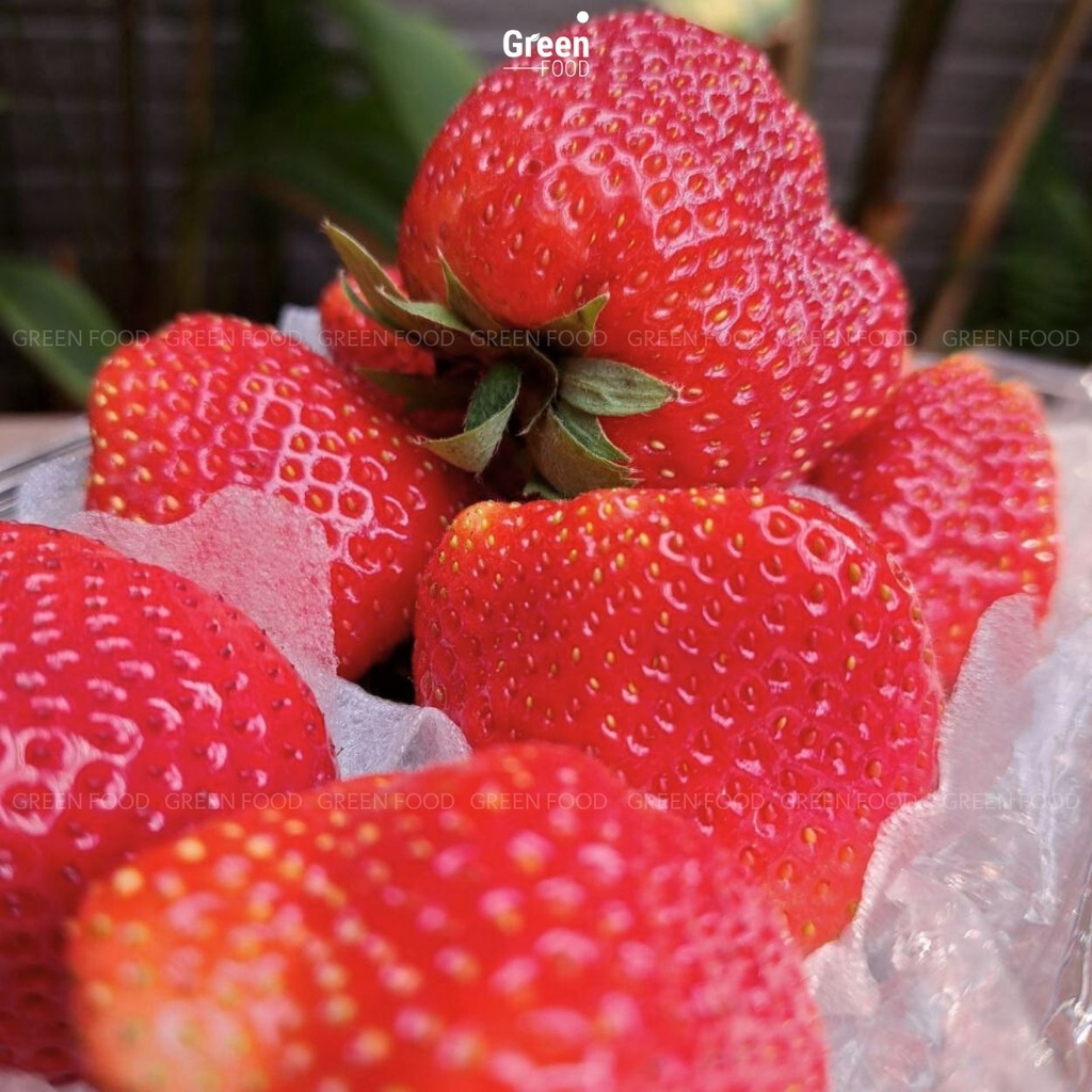 Dâu Tây Mộc Châu - Hana Natochi