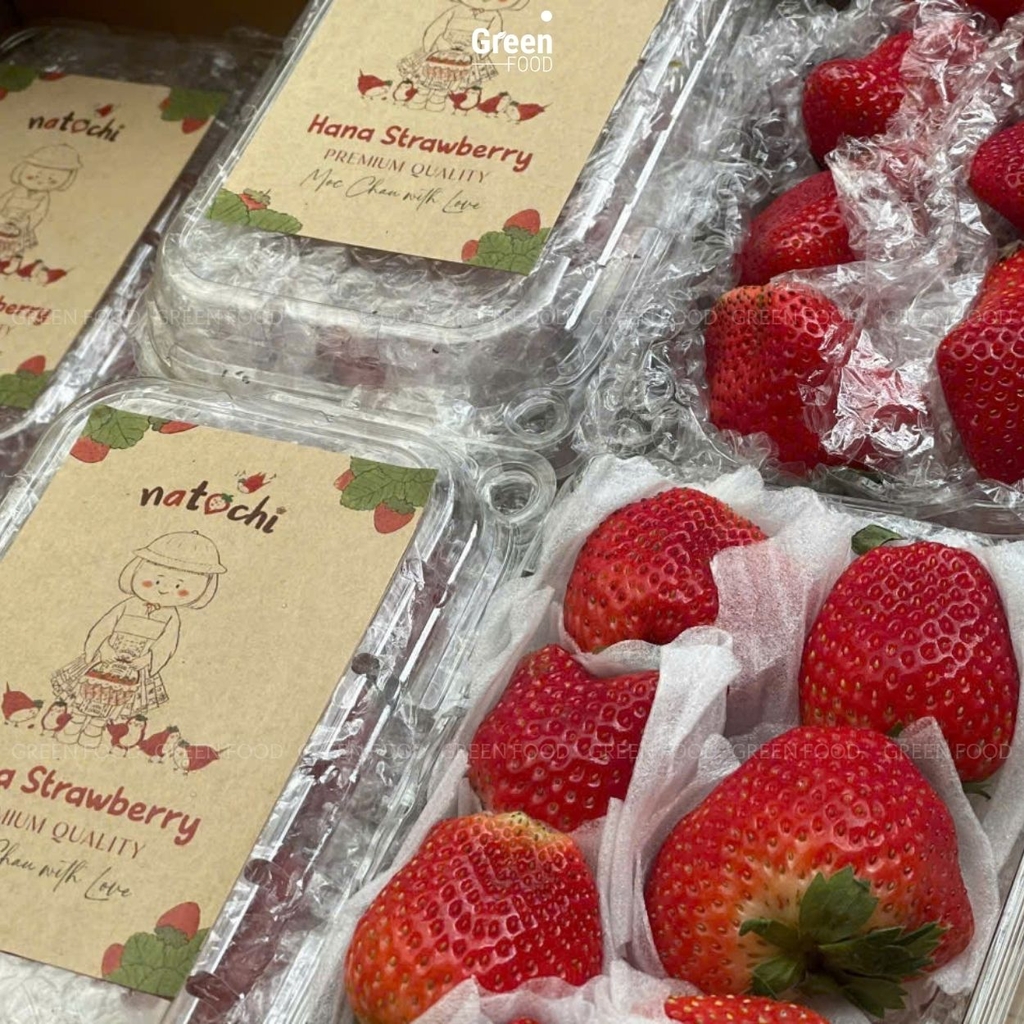 Dâu Tây Mộc Châu - Hana Natochi