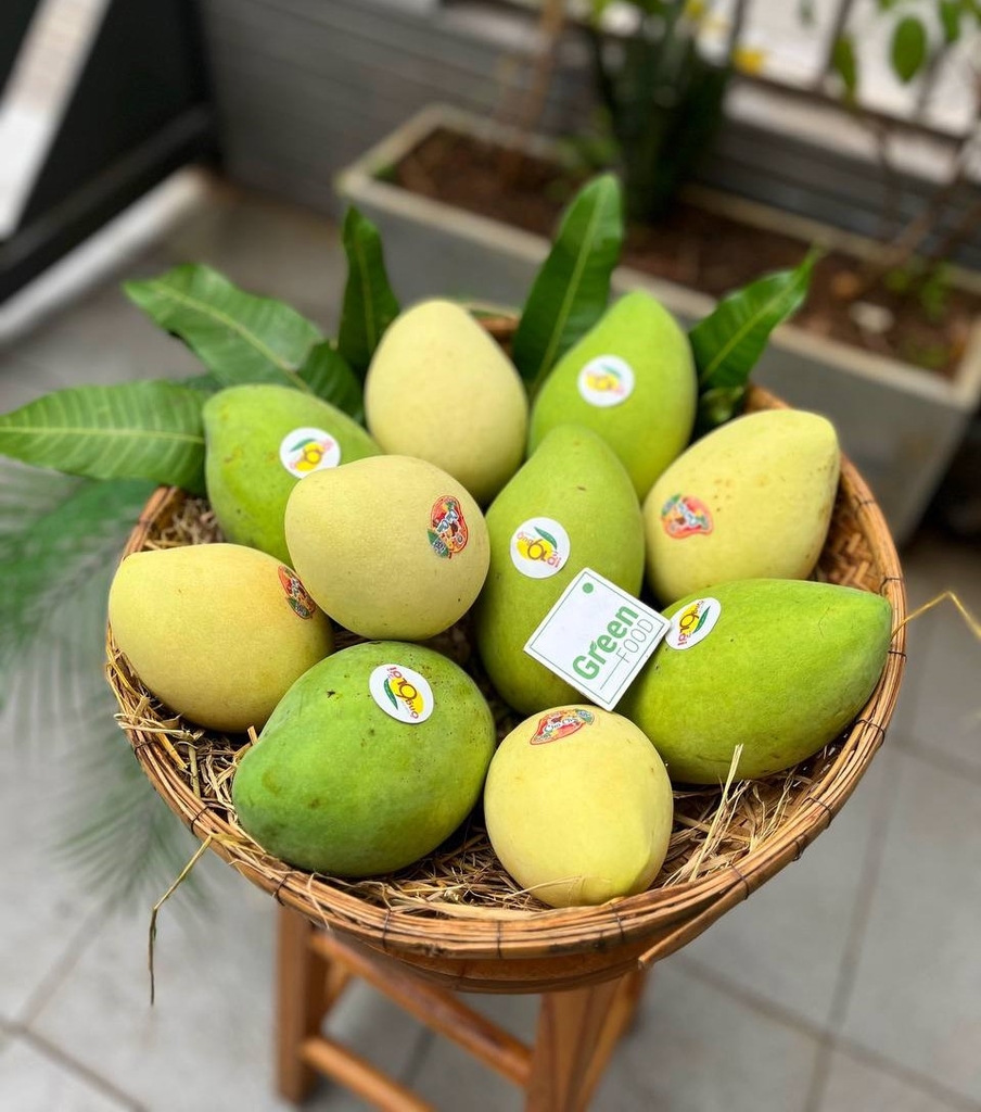 Xoài Cát Hòa Lộc