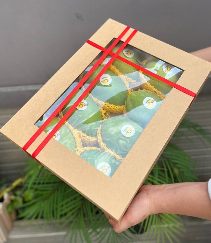 Hộp Quà Sức Khỏe Xoài Hòa Lộc (Mã sản phẩm: SK1223 )