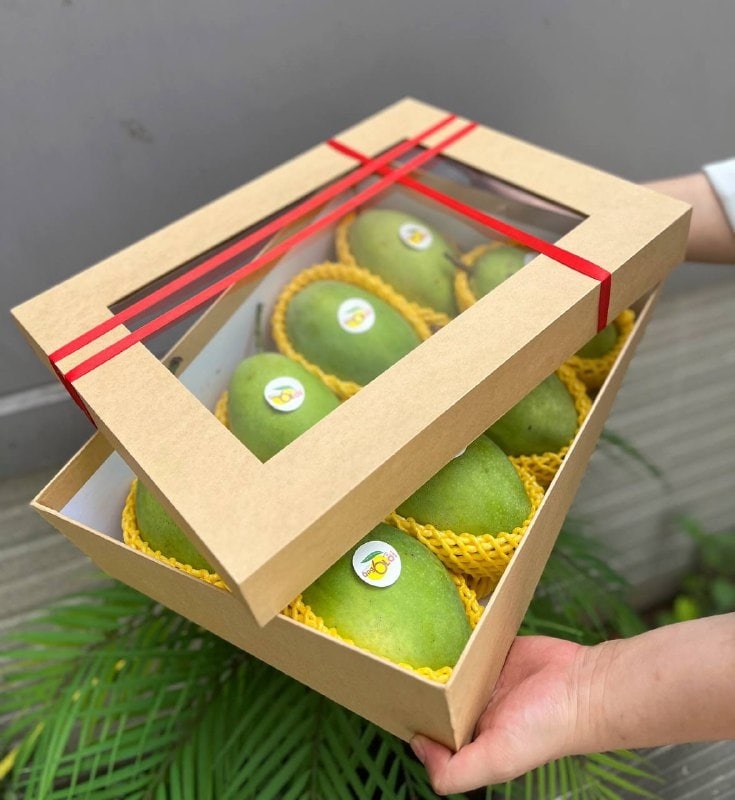 Hộp Quà Sức Khỏe Xoài Hòa Lộc (Mã sản phẩm: SK1223 )