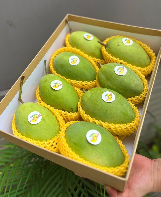 Hộp Quà Sức Khỏe Xoài Hòa Lộc (Mã sản phẩm: SK1223 )