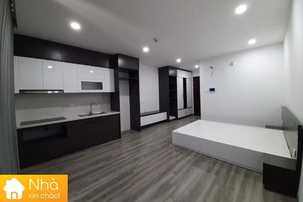 Cho thuê căn hộ Studio cao cấp tại tòa C5 chung cư Vinhomes D'Capitale Trần Duy Hưng