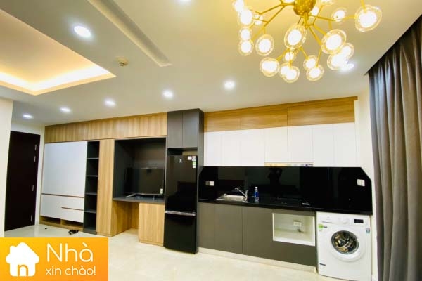 Cho thuê căn hộ Studio cao cấp tại chung cư Vinhomes D'Capitale Trần Duy Hưng