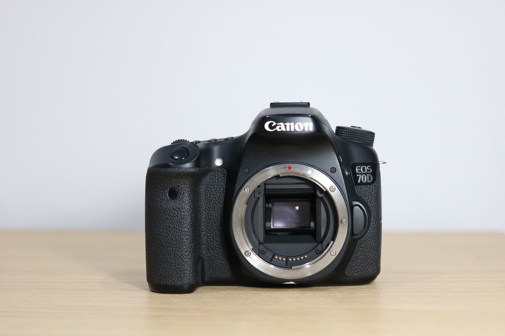 Canon 70d for dummies