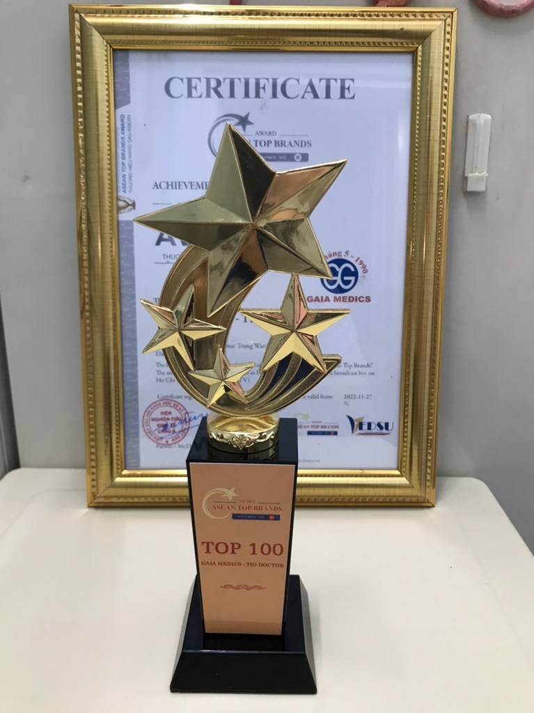 cúp lưu niệm và bằng khen top 100 thương hiện Asean