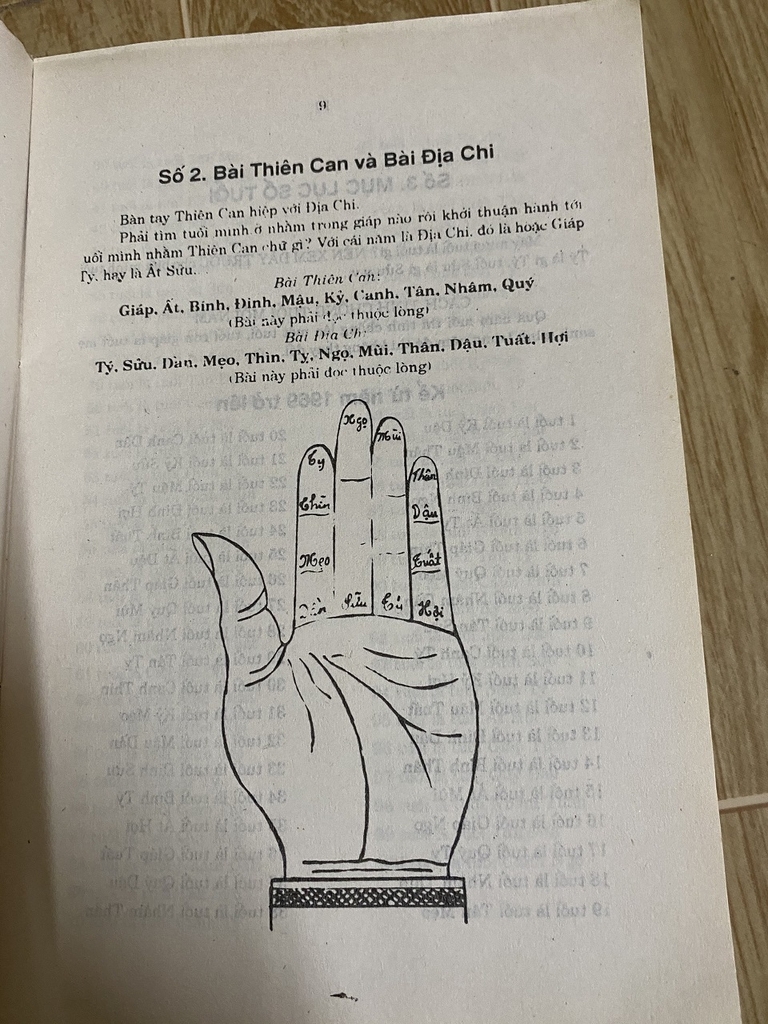 Diễn Cầm Tam Thế Tuổi Bính Tý: Giải Mã Vận Mệnh và Tương Lai