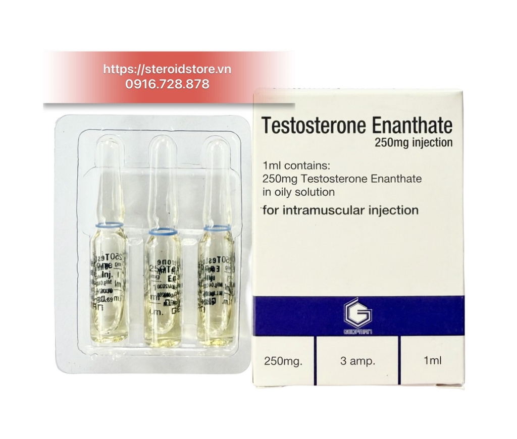 Testosterone Enanthate 250mg/ml ( Test E250) - Hãng Geofman - Hộp 3 Ống x 1ml