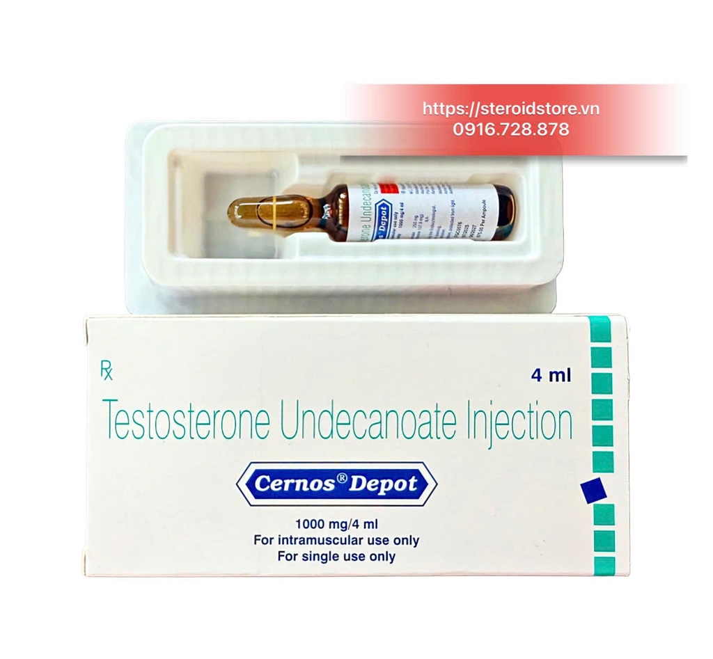 Testosterone Undecanoate 1000mg/4ml - Hãng Cernos - Hộp 1 ống