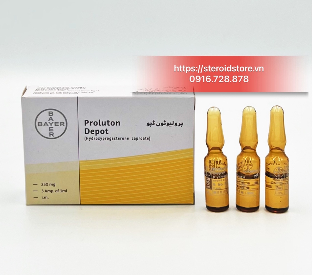 Proluton Depot 250mg/ml - Progesterone Hãng Bayer - Ống 1ml