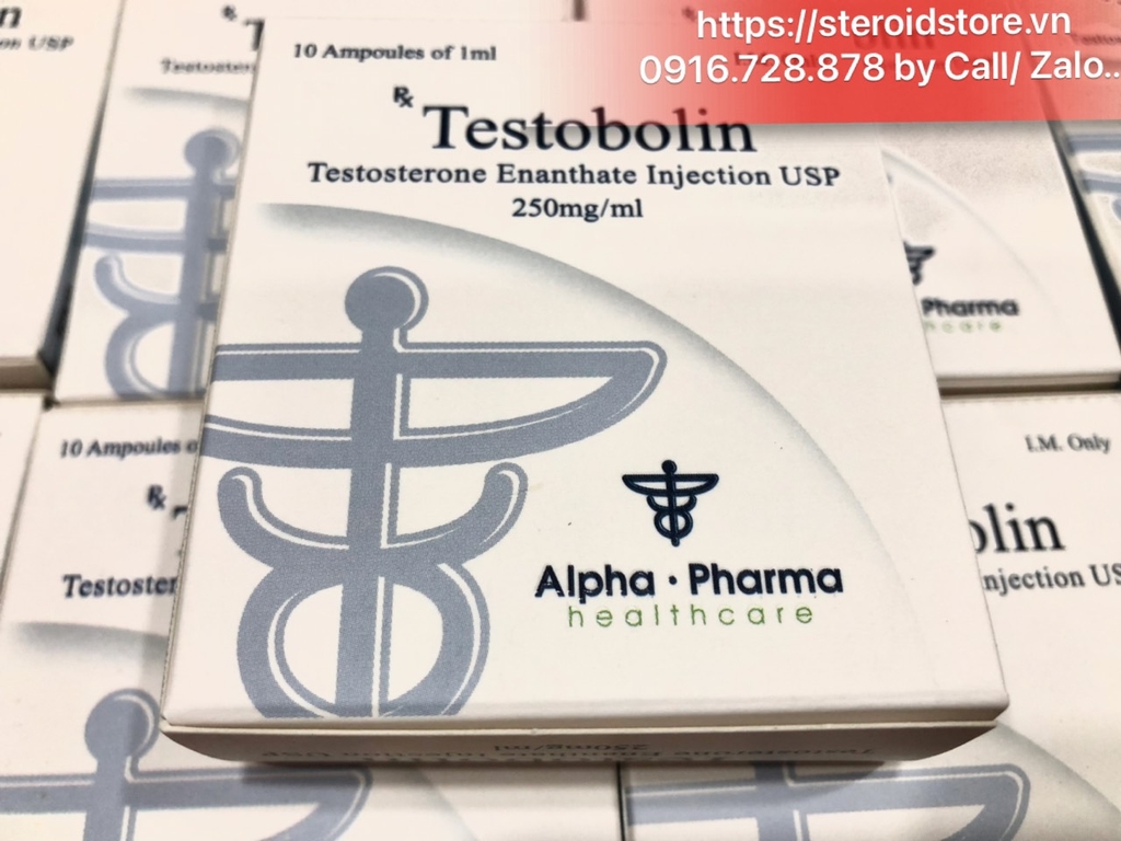 TESTOBOLIN - Testosteron Enanthate - Alpha Pharma -Hộp 10 ống 1ml