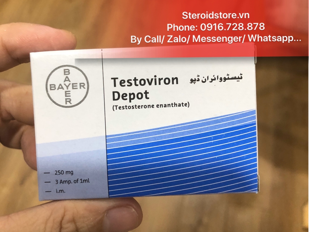 Testoviron Depot- Testosteron Enanthate (Test E)- Bayer - Hộp 3ống 1ml