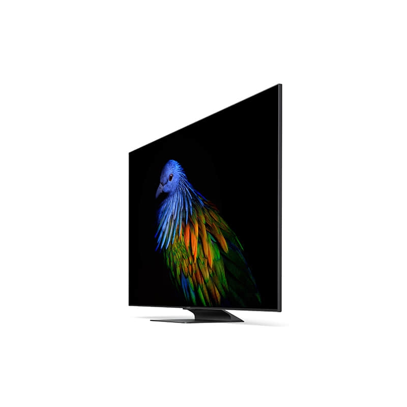 Mi Tv 6 Extreme Edition 55 Купить