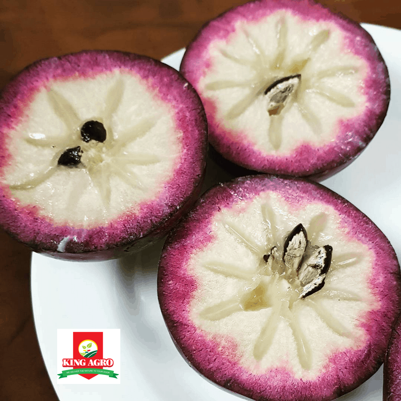 purple star apple