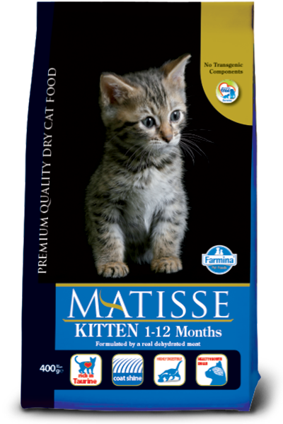 Matisse mèo con 1.5kg