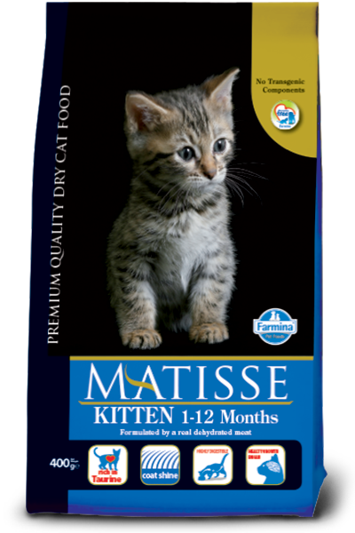Matisse mèo con 400gr