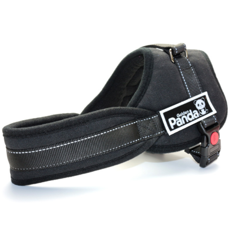 Golden Panda Casino Thematische Afbeelding