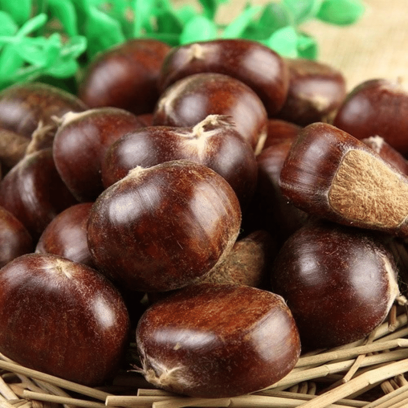 Vận Chuyển Hạt Dẻ Đi Úc Nhanh Chóng, Tiết Kiệm