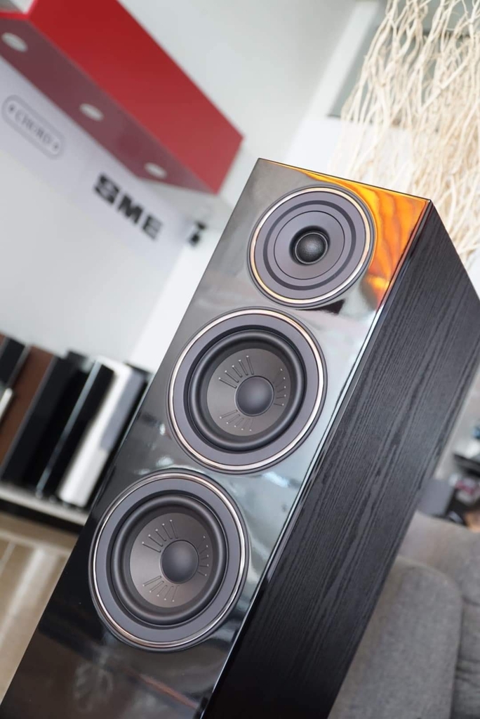 Loa Wharfedale Diamond 12.3