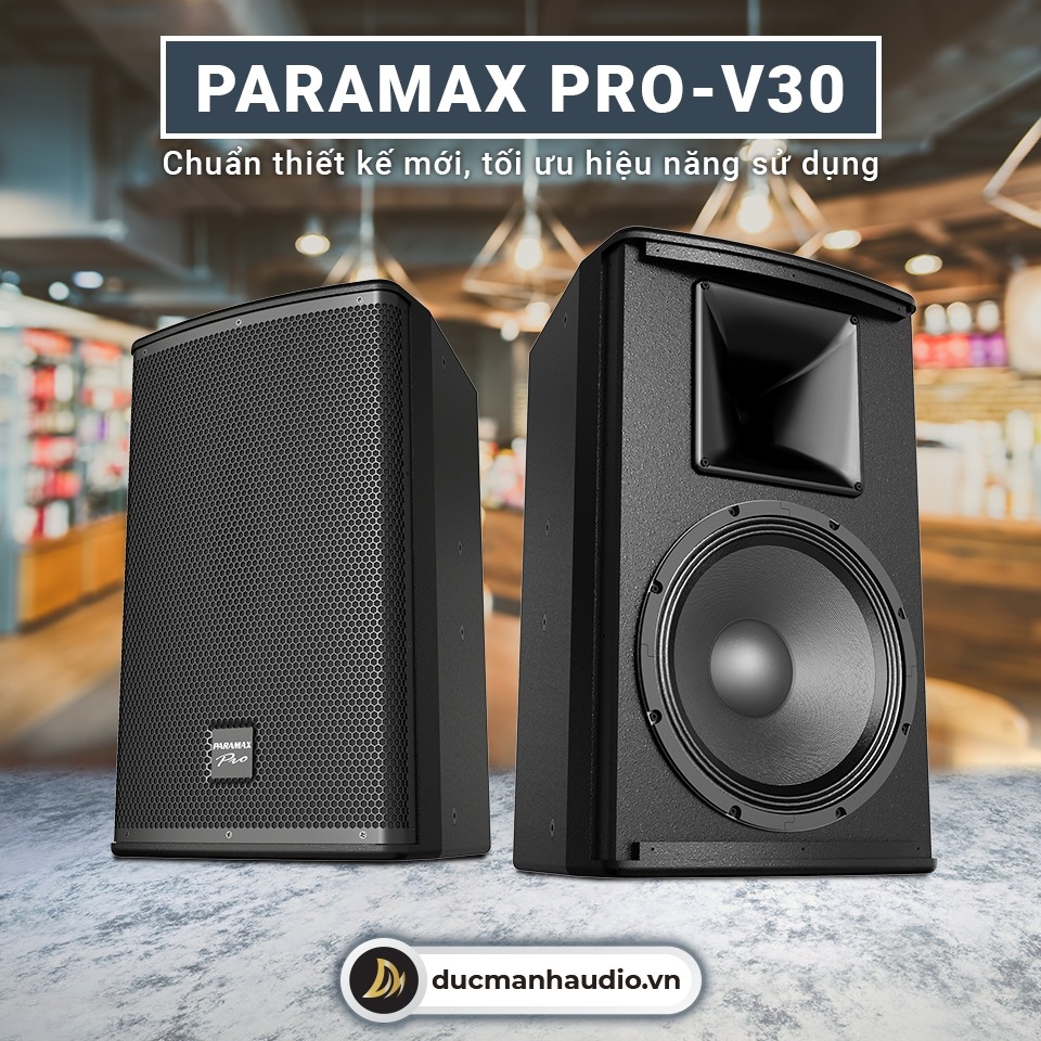 Loa karaoke Paramax Pro-V30, bass 30cm, 250W