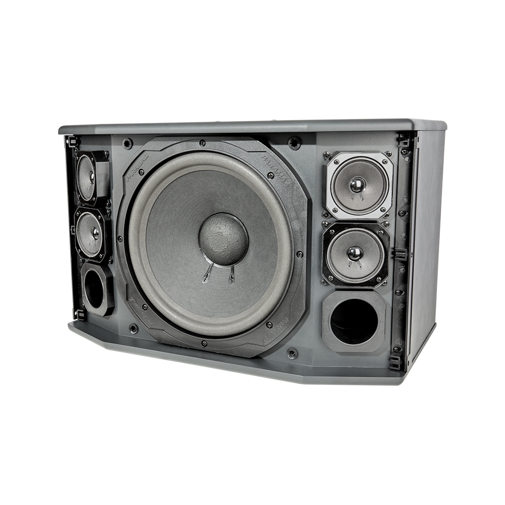 Loa karaoke Paramax Pro-C10 bass 25cm, 250W