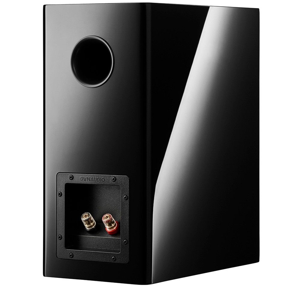 Loa nghe nhạc Dynaudio Evoke 20