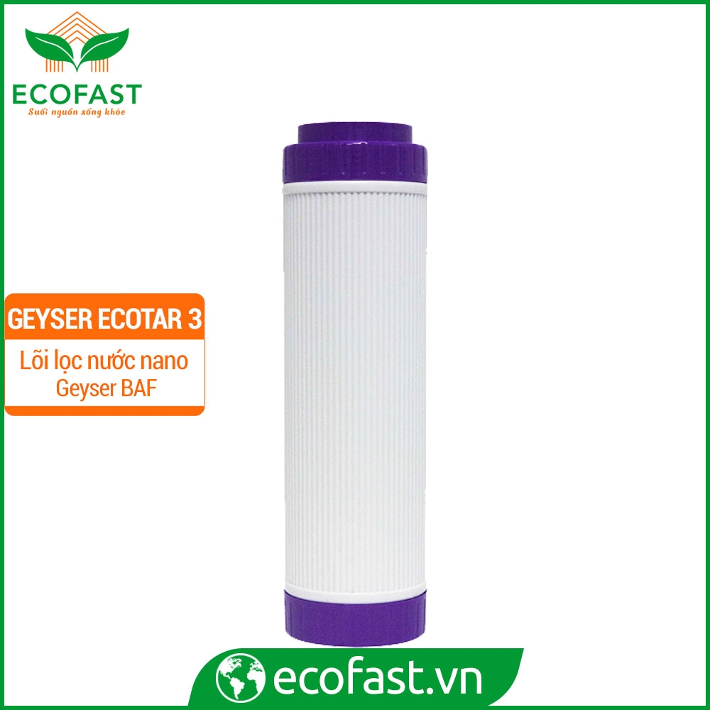 Bộ lõi lọc Geyser Ecotar 3