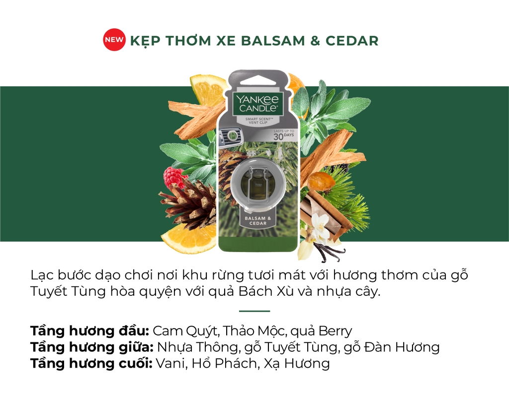 Kẹp thơm xe Balsam & Cedar