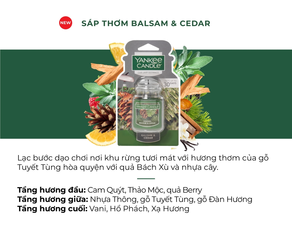 Sáp thơm xe Balsam & Cedar
