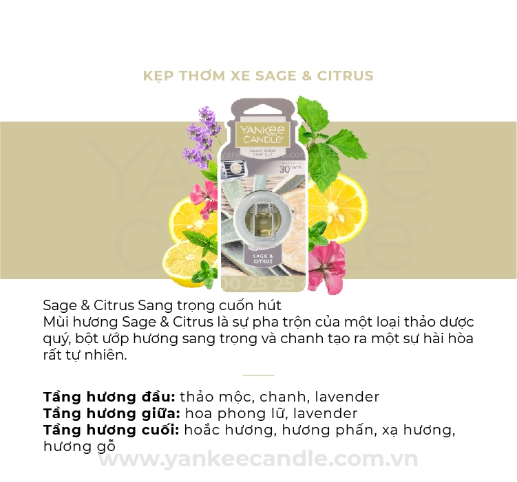 Kẹp thơm xe Sage & Citrus