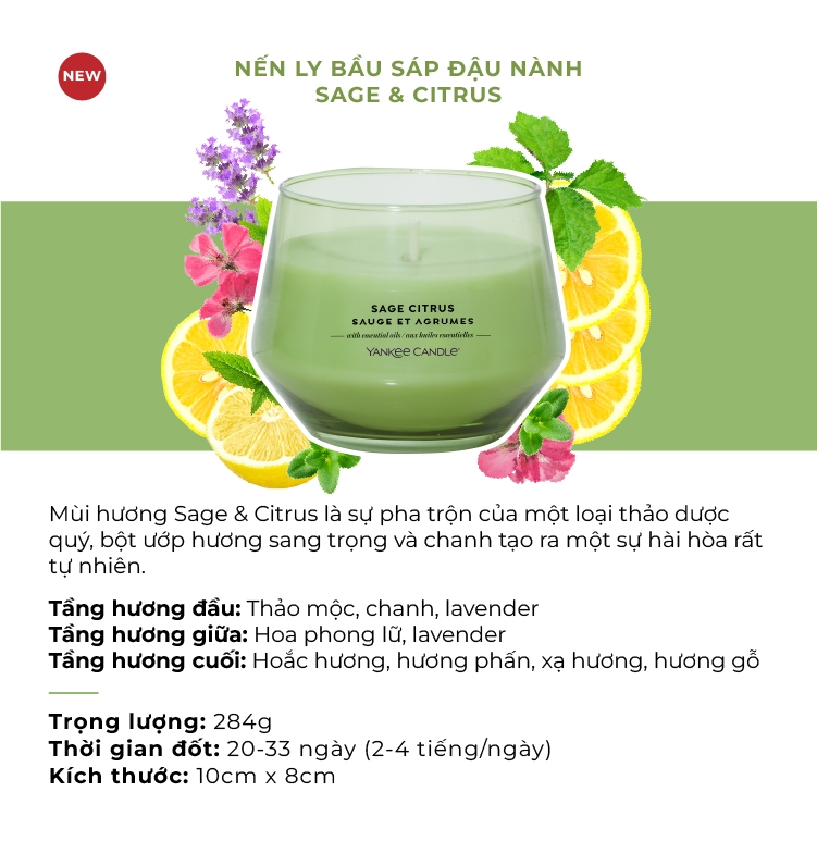 Nến ly bầu Yankee Candle mùi Sage & Citrus