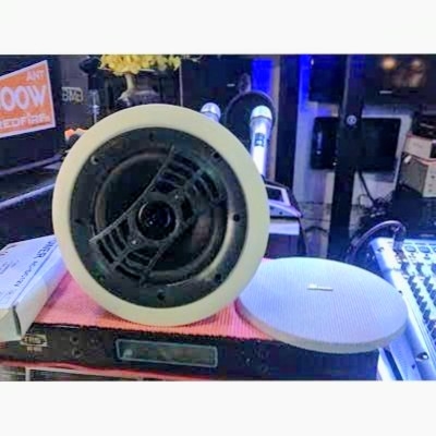 Burmester C-230 - Loa Âm Trần 2 Way Size 23cm